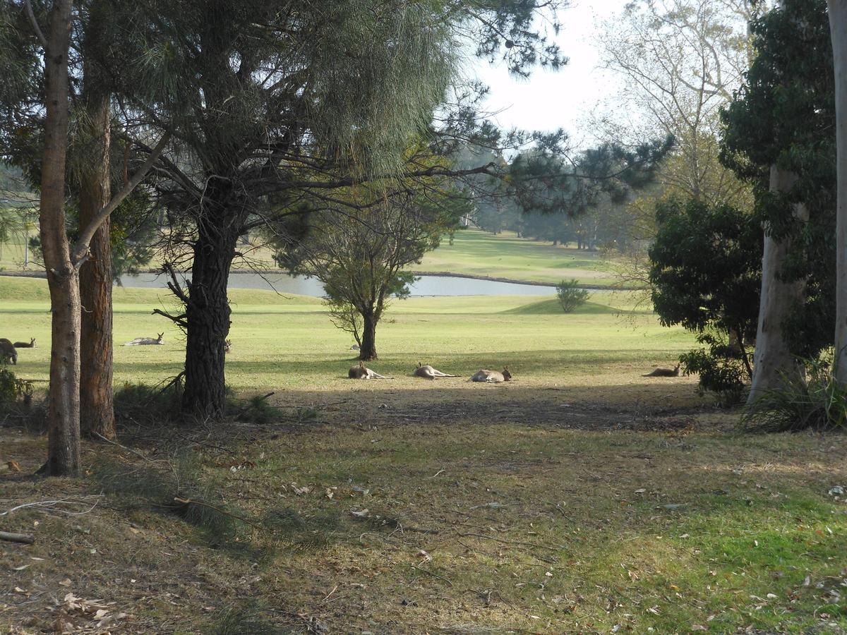 Golf View Motel Sanctuary Point Kültér fotó